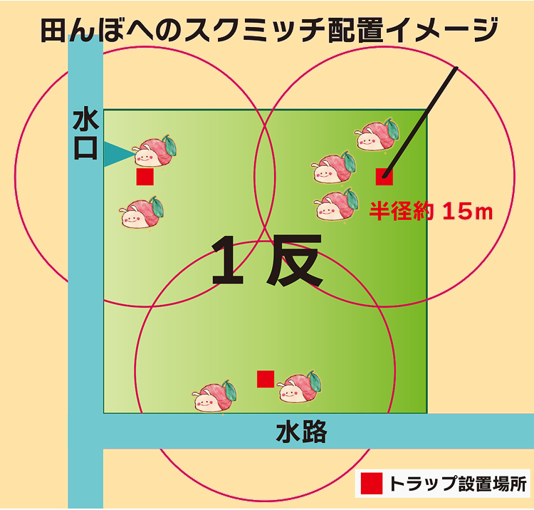 1反にスクミッチ3つ