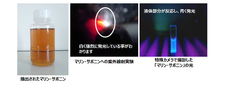 マリン・サポニン