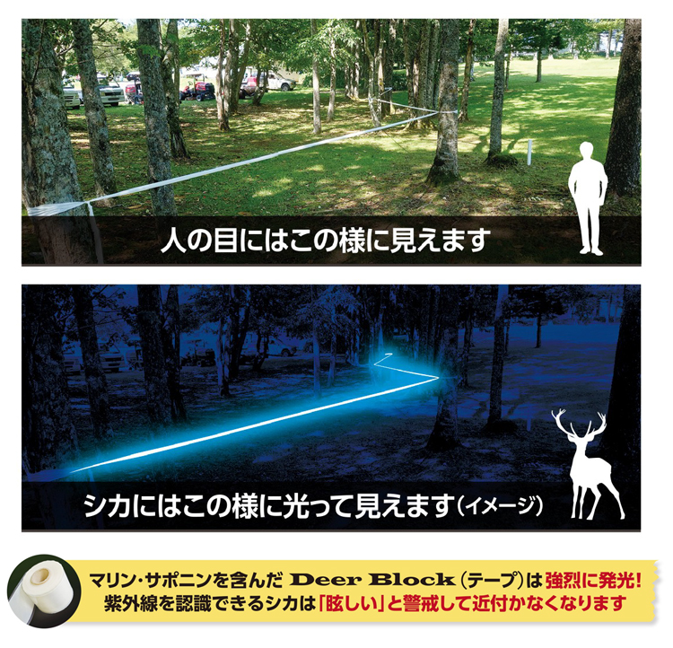 シカにはテープが光ってみえる