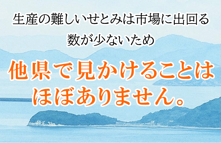 市場に出回る数が少ない