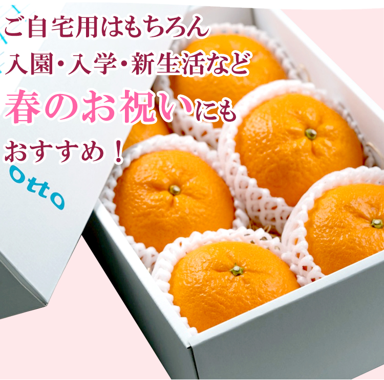 ご自宅用だけでなくお祝いギフトにもオススメ