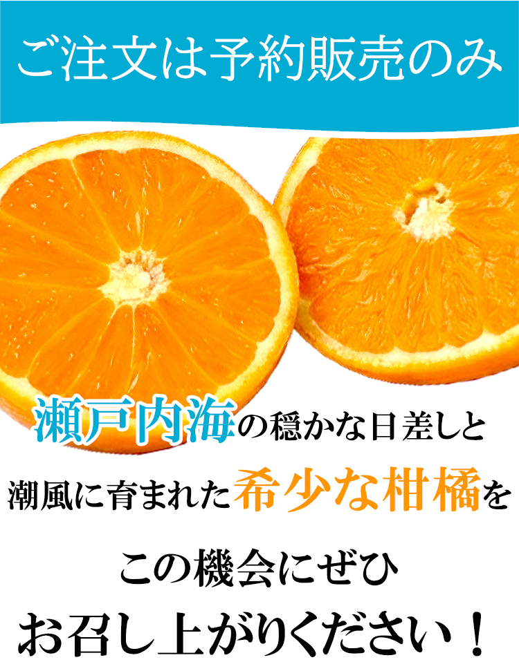 ご注文は予約販売のみ