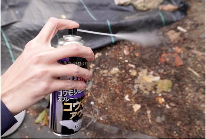 コウモリアウトEX