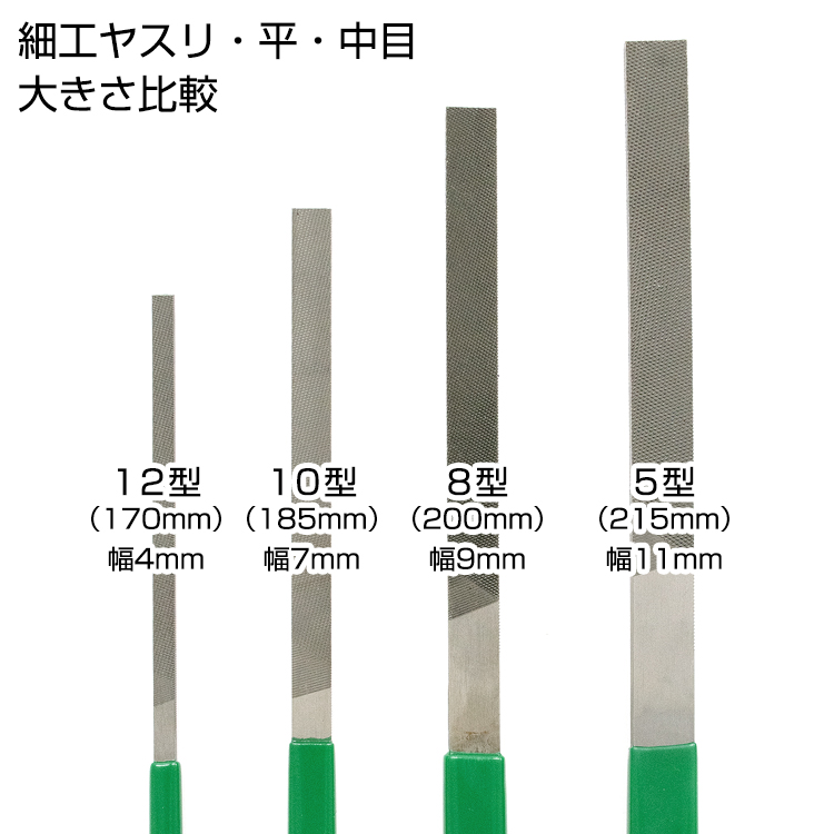 大きさの比較