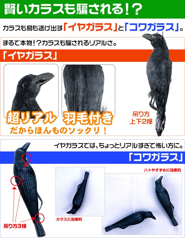 鳥害　本物ソックリカラス　イヤガラス・コワガラスの商品説明