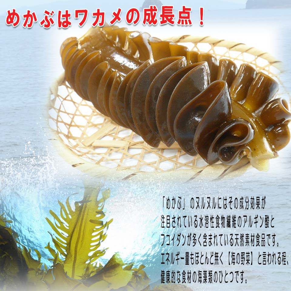 刻みめかぶ 乾燥 業務用 メガ盛りサイズ 細切りのきざみメカブ