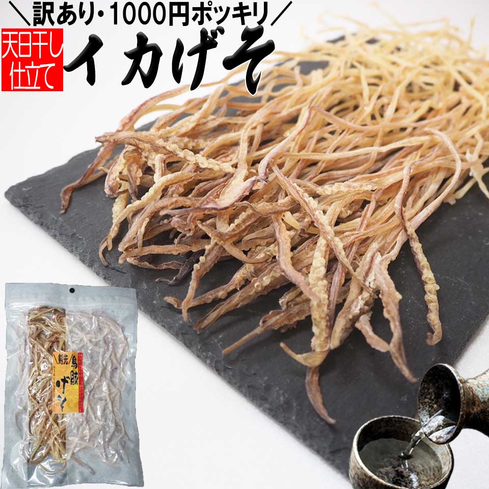 するめ いかげそ 訳あり 120g 送料無料 1000円ポッキリ 無添加 剣先