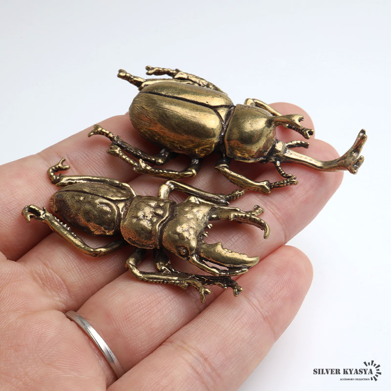 複数買いで最大30％OFFクーポン／昆虫 カブトムシ クワガタ ヘラクレス