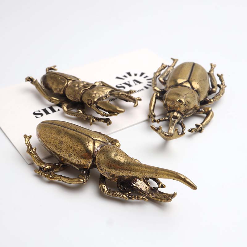 複数買いで最大30％OFFクーポン／昆虫 カブトムシ クワガタ ヘラクレス