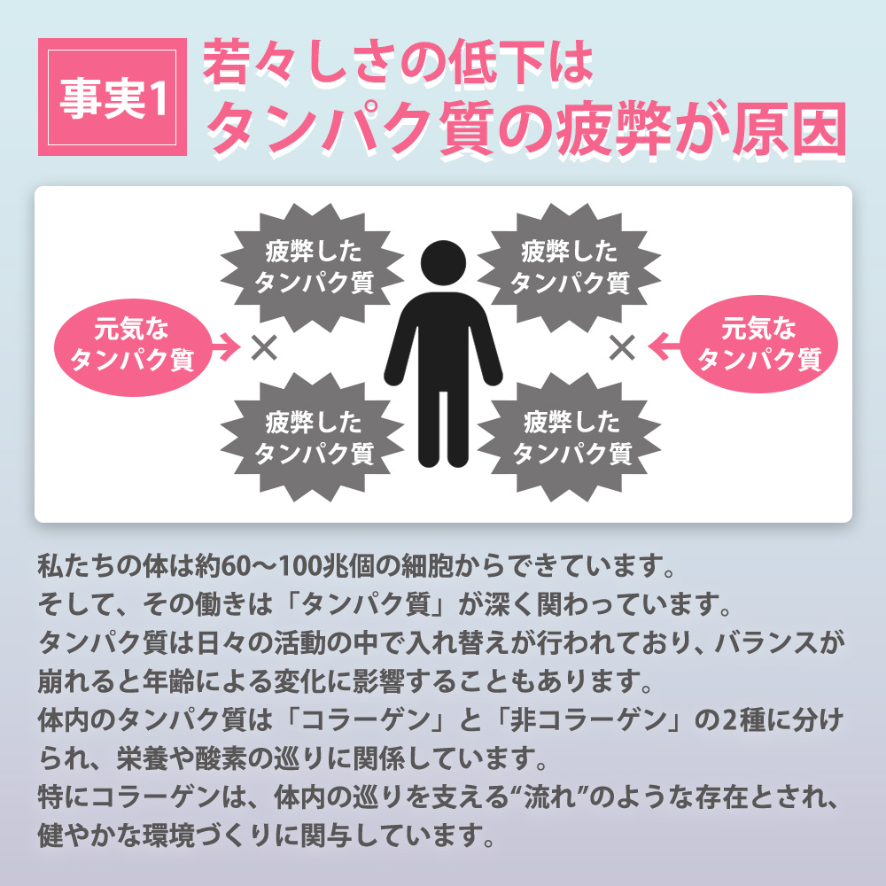 コラーゲン ヒアルロン酸 ドリンク ミネルヴァ コラーゲン6000 50ml×10