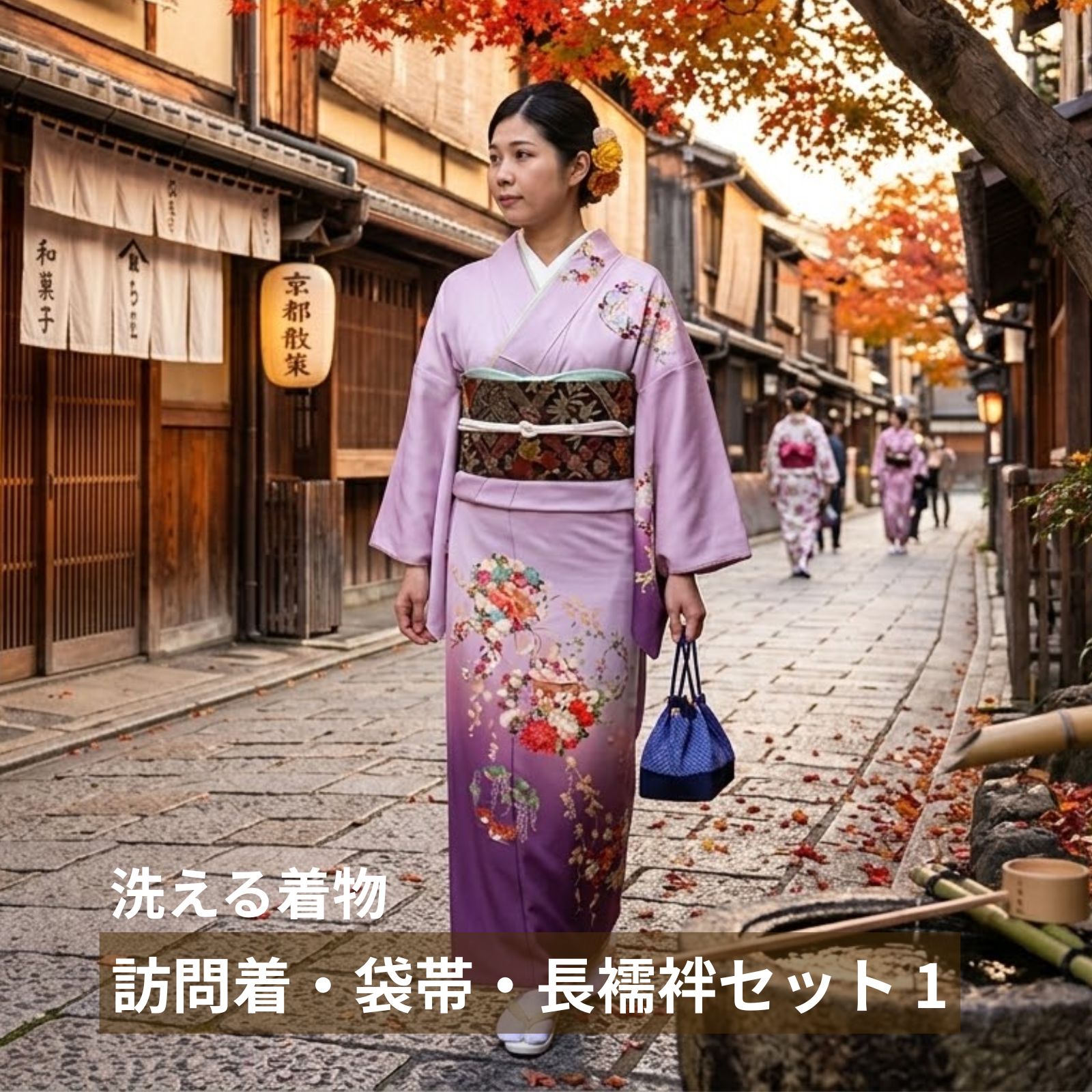 H.L（アッシュ・エル） 訪問着 HL 洗える着物 3点セット 6柄 壱
