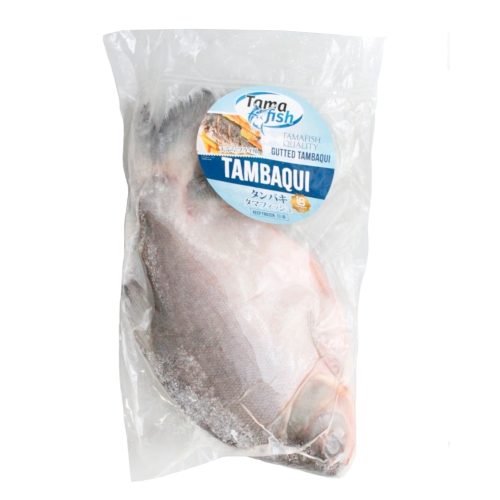 タンバキ 白身魚 1尾 （冷凍）FISH TANBAKI CONGELADOS