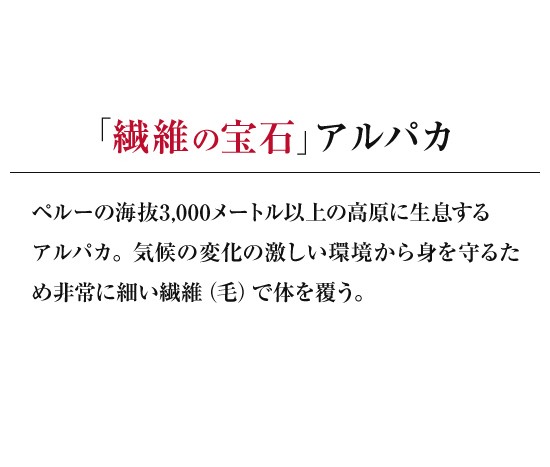 キョウダイマーケット - アルパカ製品(ＫＵＮＡ)｜Yahoo!ショッピング