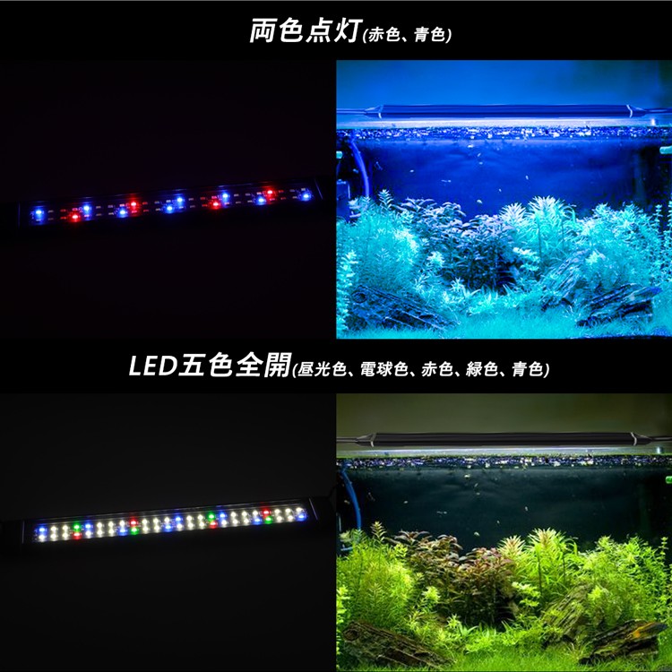 ledmomo 水槽ライト 50-60cm水槽対応 白/青 72LED 調節可能 水槽照明 長寿命 省エネ YO5fp0CZAI, ペット用品、生き物  - centralcampo.com.br