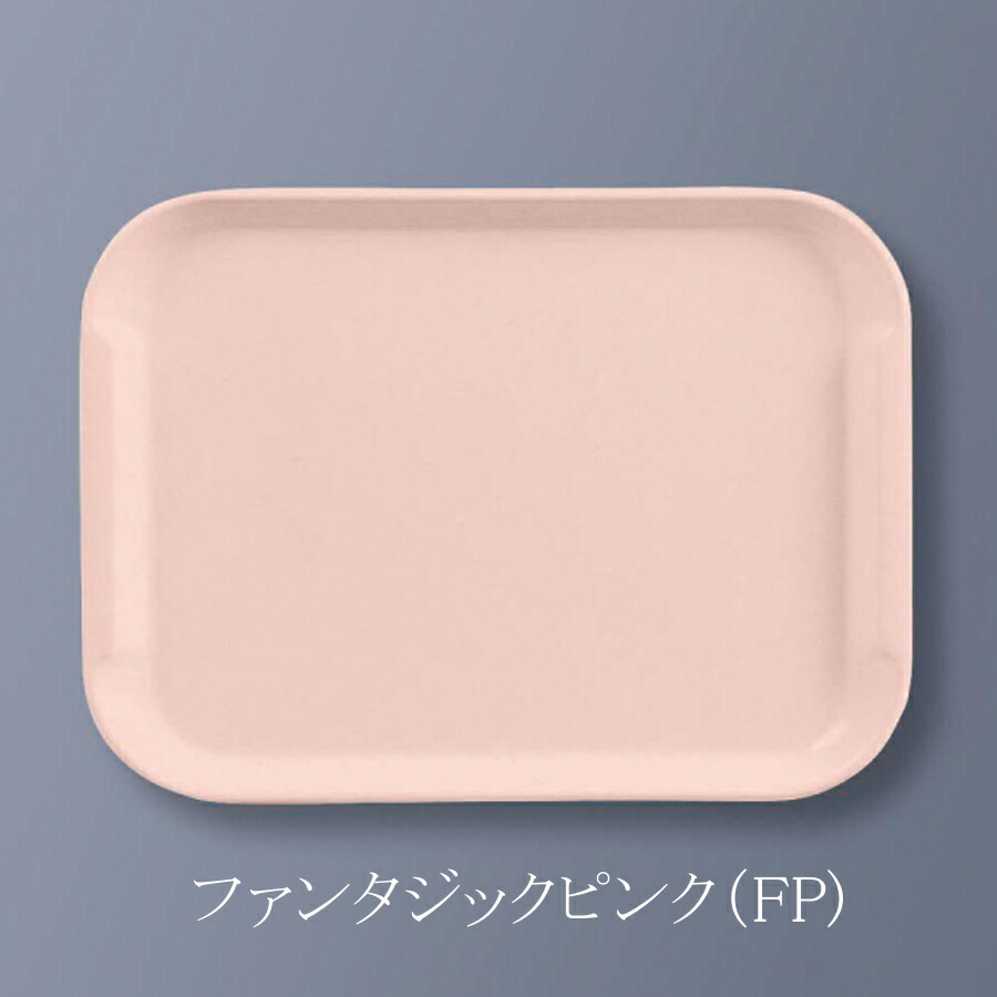 FRP GX^[gCXibN t@^WbNsN SE-13FP(260×350×H18mm)OMH