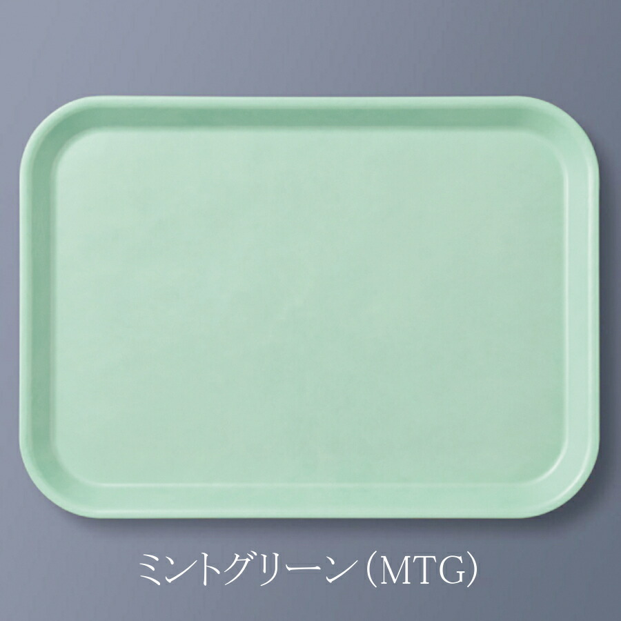 FRP GX^[gC` ~gO[ SE-21MTG(303×415×H20mm)OMH
