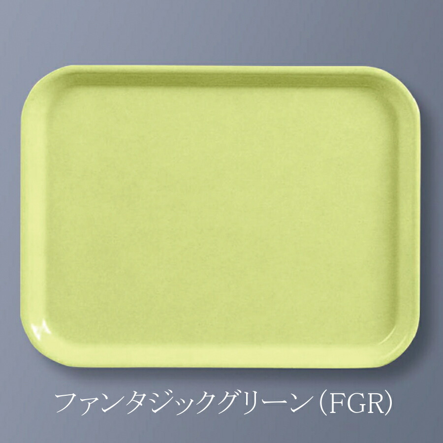 FRP GX^[gC` t@^WbNO[ SG-56FGR(290×380×H18mm)OMH