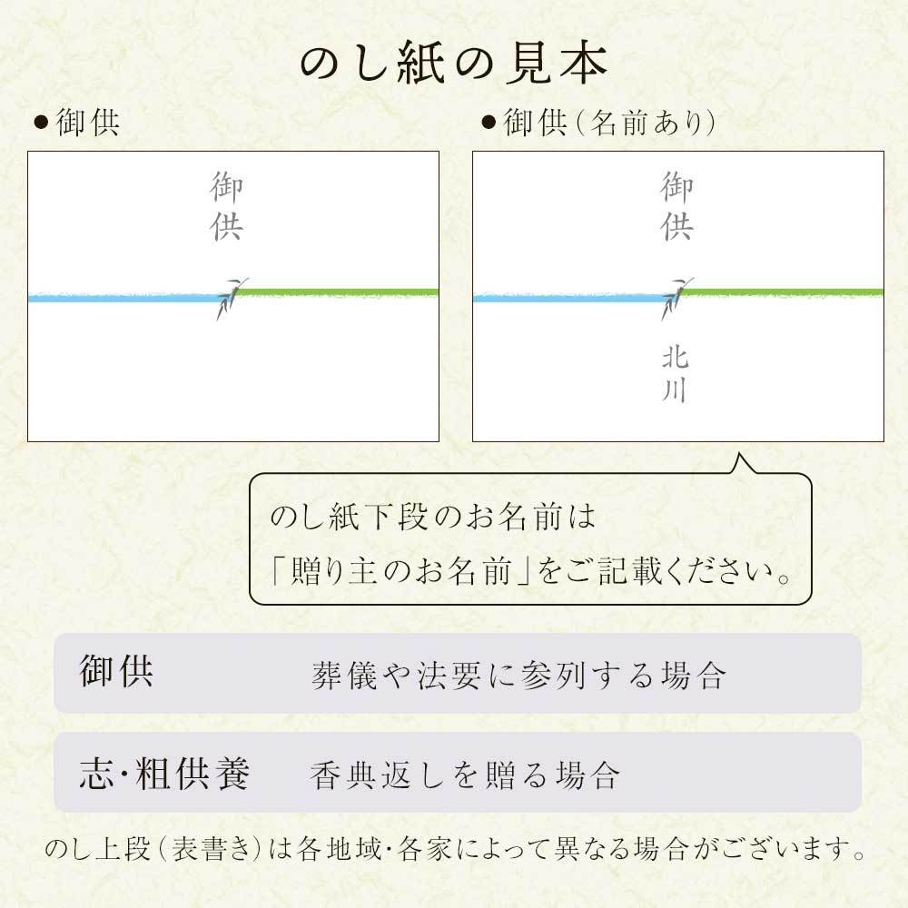 のし紙の見本