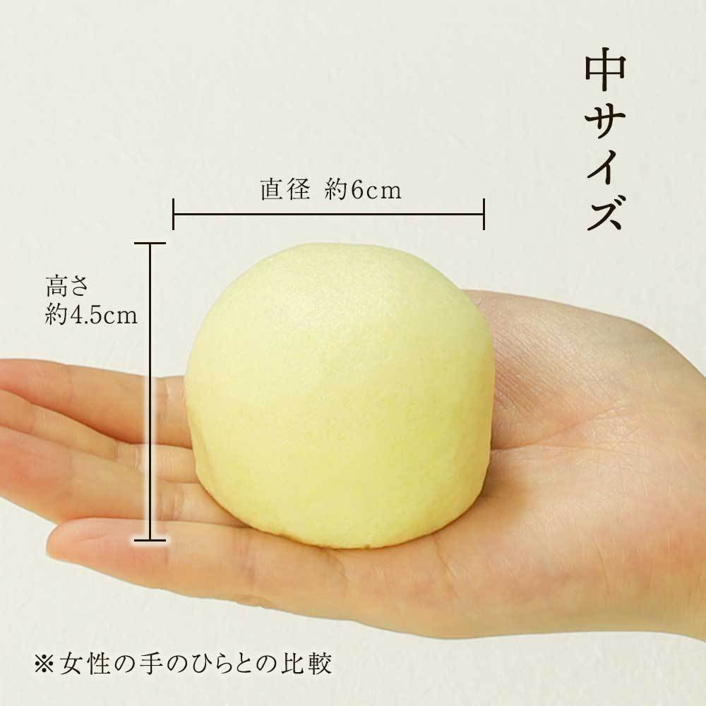 中サイズの大きさ