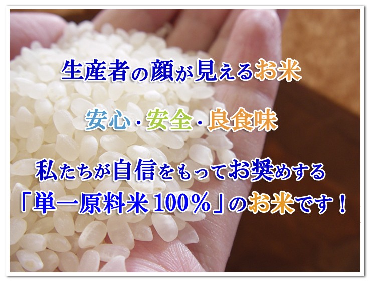 SETTO お米 15kg 選べるお米福袋 ミルキークイーン コシヒカリ