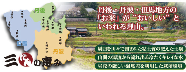 令和6年産、新羽二重餅100％使用