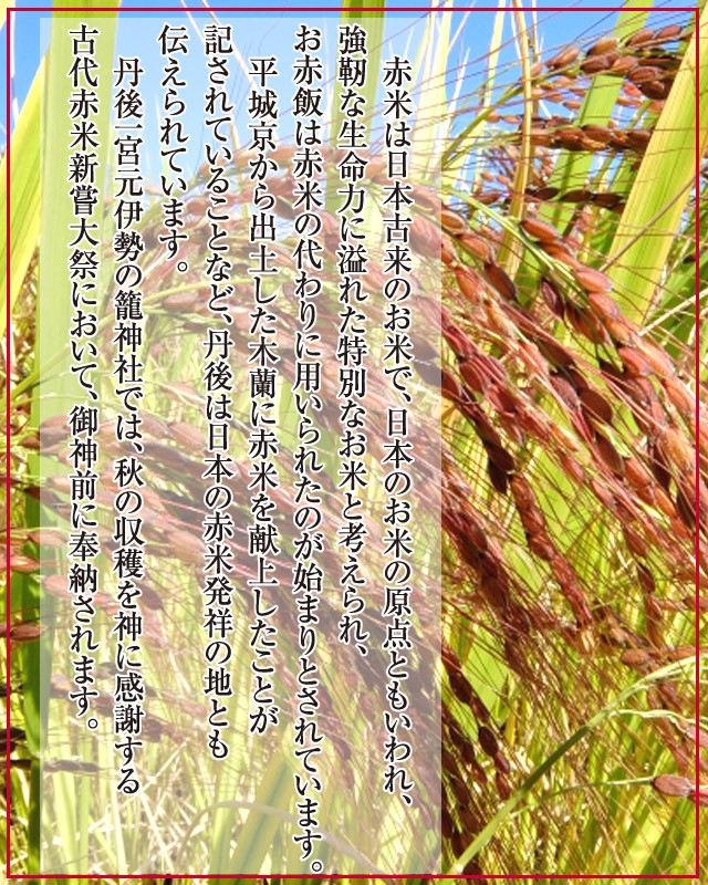 丹後産古代赤米（有機農法）