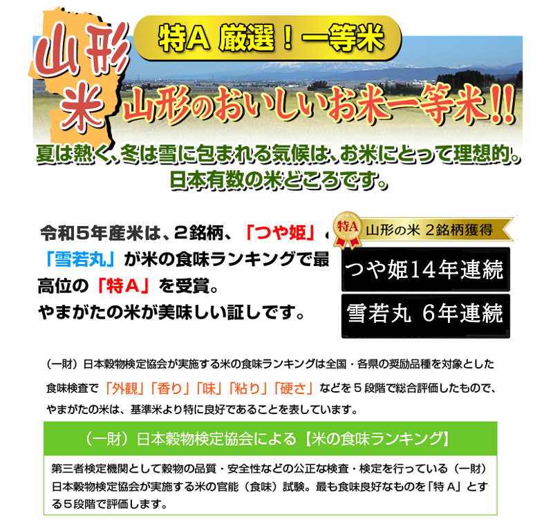 お米 10kg つや姫 山形県 庄内産 白米 分づき可 一等米 特別栽培米 5kg