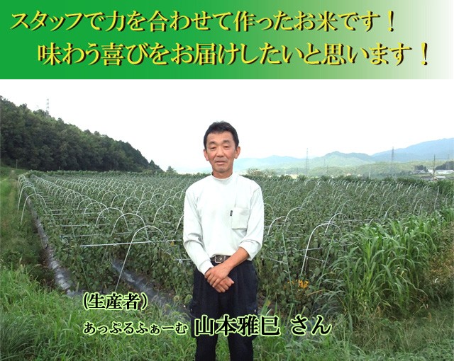 キムサムスン様 玄米40kg キムサムスン様 玄米40kg