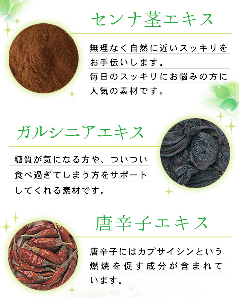 モテマスリム　48粒入×10袋　480粒入　ダイエット　サプリメント Amazon | モテマスリム 48粒入り | モテマスリム | ダイエット