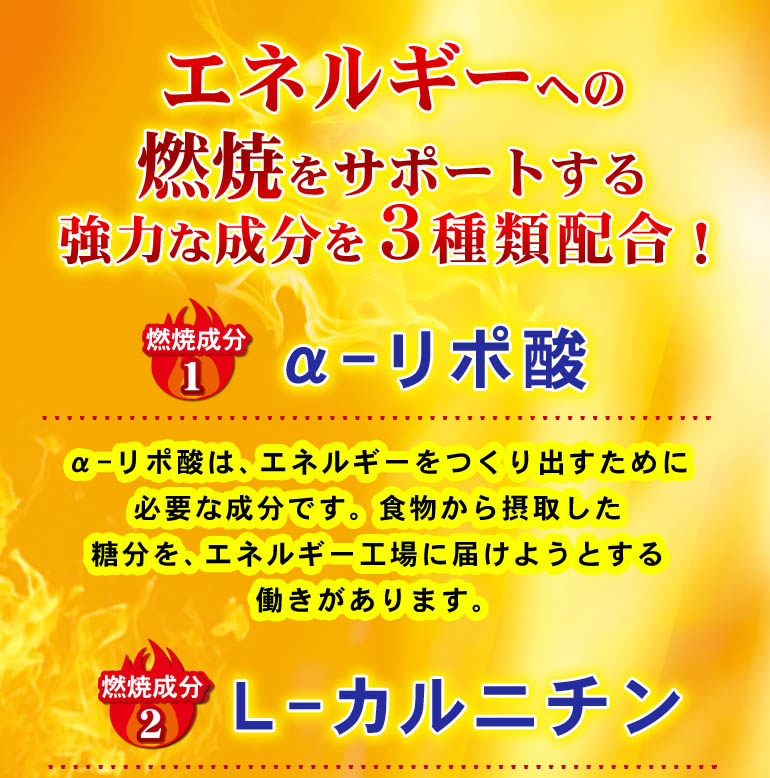 S-S ダイエットサプリメント 250mg×180粒 ×2 ナイトタイムダイエットサプリ 180粒 2袋セット - メルカリ