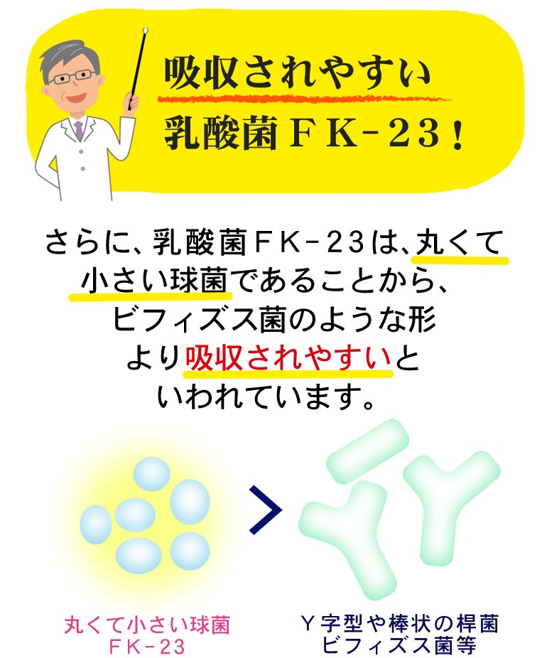 乳酸菌 サプリメント 腸活 腸内環境 免疫力 サプリ フェカリス菌 fk23