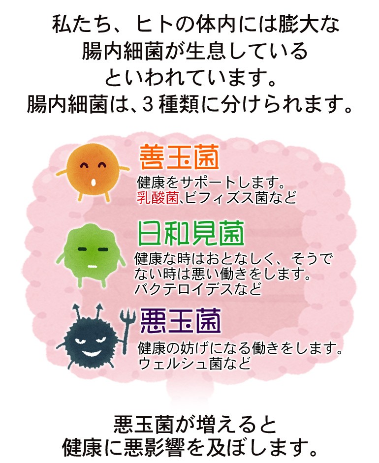 乳酸菌 サプリ サプリメント 腸活 腸内環境 免疫力 便通 初回限定 お