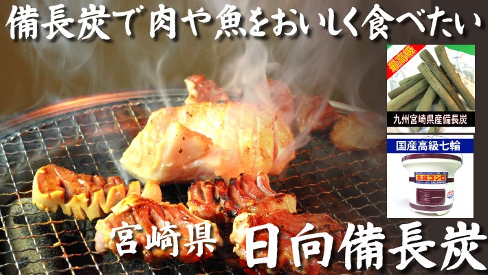 日向備長炭 特級品 1kg 備長炭 宮崎県産 国産 七輪 炭火焼