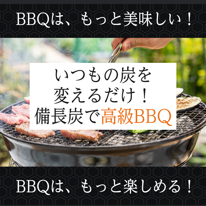 日向備長炭 バーベキュー用 2kg BBQ 炭 七輪 キャンプ