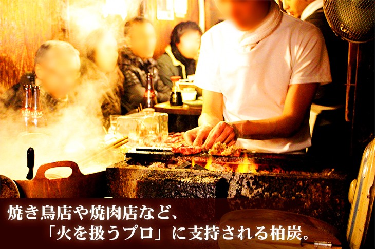 オガ炭 オガ備長炭 柏炭 10kg 国産 高火力 長時間燃焼 バーベキュー BBQ ダッチオーブン アウトドア :20008:京都ひがしやまいちば -  通販 - Yahoo!ショッピング