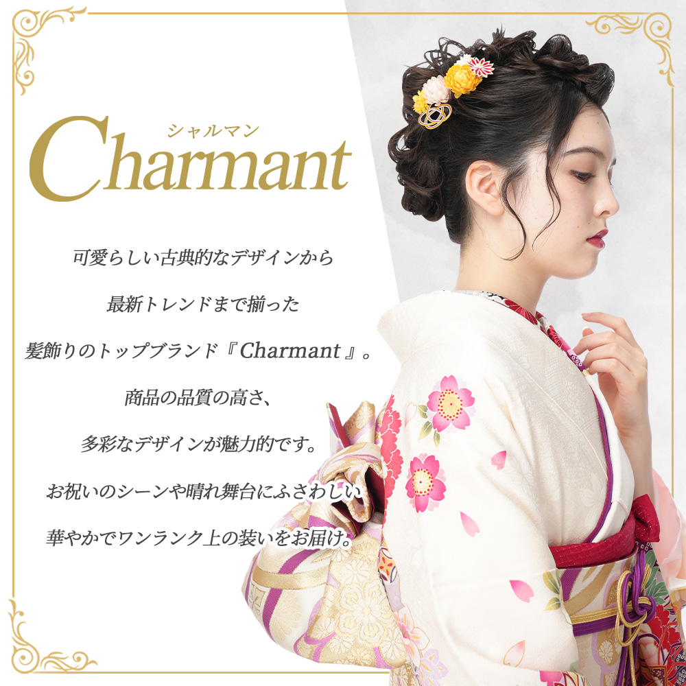 成人式　振袖5点セット、髪飾付 cf005339_1.jpg