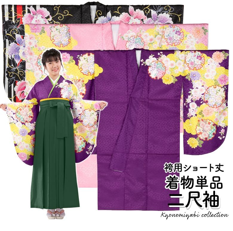 小振袖 二尺袖 着物単品 ショート丈着物 絵羽柄 袴専用 古典柄 紫