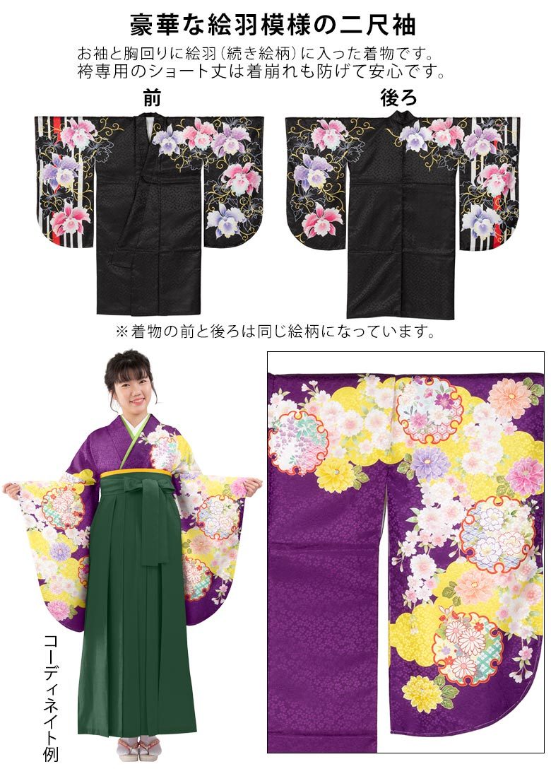 小振袖 二尺袖 着物単品 ショート丈着物 絵羽柄 袴専用 古典柄 紫 