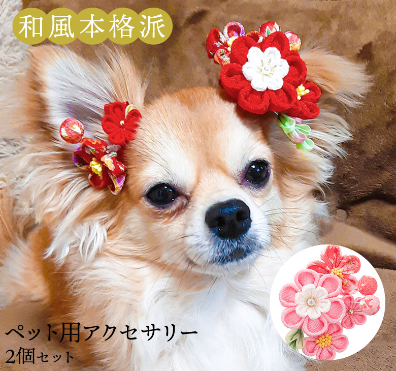 わんちゃん 髪飾り 10セット - 犬用品