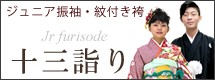 十三参り ジュニア振袖