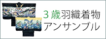 3歳 着物 アンサンブル