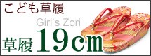 19.5cm