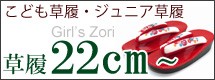 22.0cm-