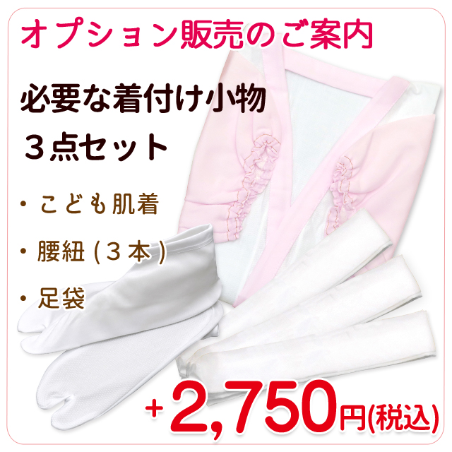 3点セットのオプション販売