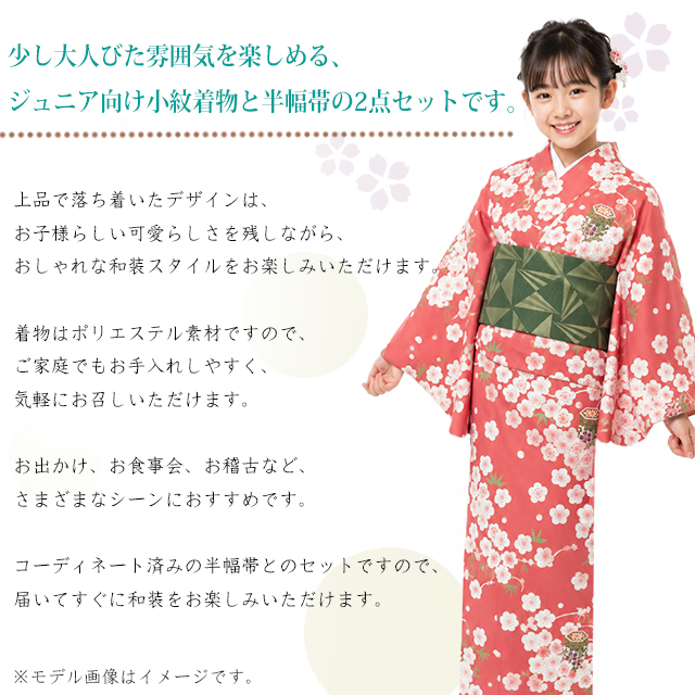 着物セット 130/140/150 小紋 袷 洗える着物 帯 セットジュニア着物