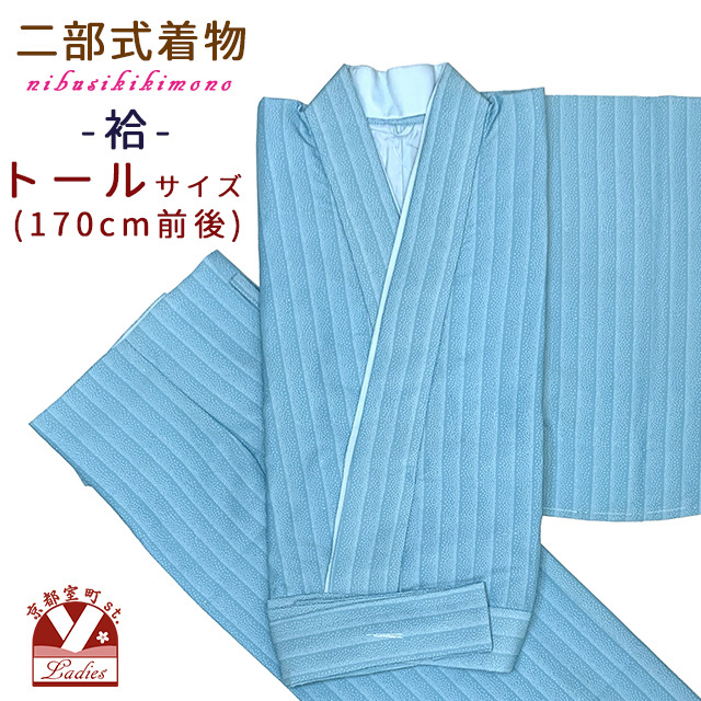 二部式着物 洗える着物 袷 小紋柄の着物 フリー/トールサイズ