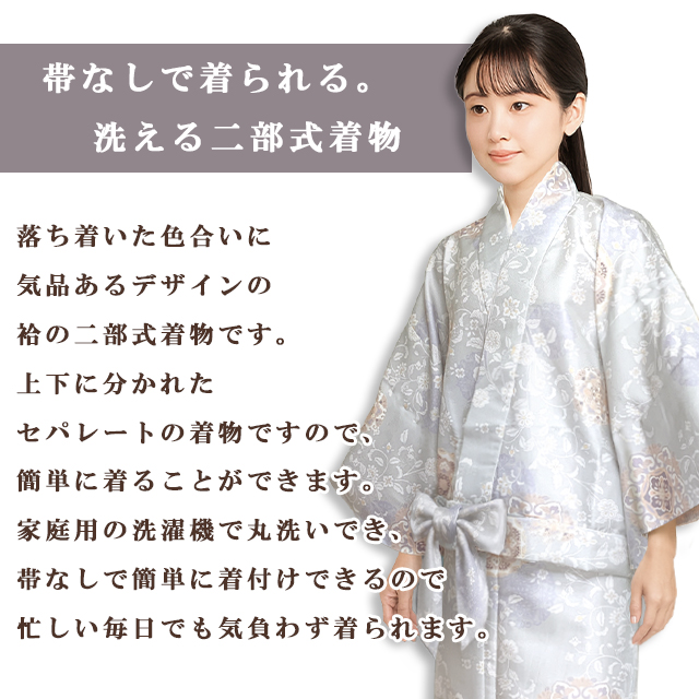二部式着物 洗える袷 小紋柄 レディース M/L 簡単着付け 普段着物