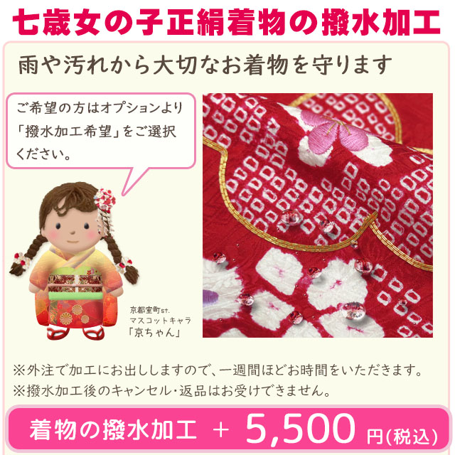 【新品】漆黒に総刺繍❗️正絹 絞り お宮参り 産着 長襦袢 新品たとう紙付 新品】漆黒に総刺繍❗️正絹 絞り お宮参り 産着 長襦袢 新品た