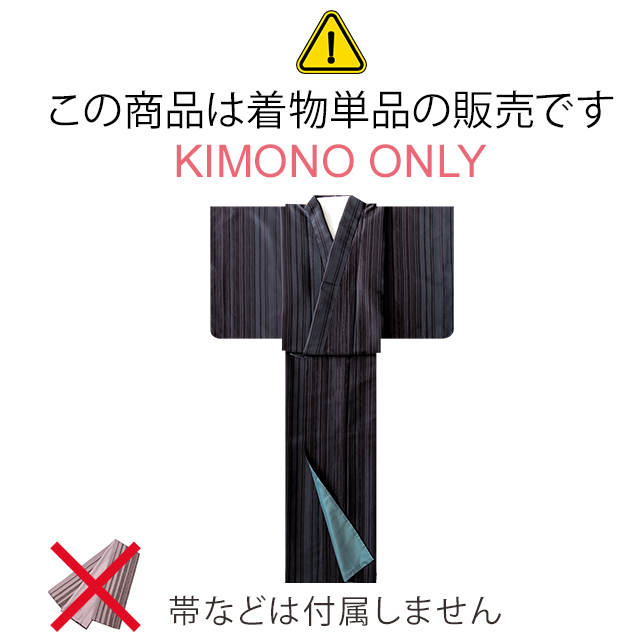 洗える着物 絽 小紋 HL(アッシュ・エル) 夏用の着物 フリーサイズ