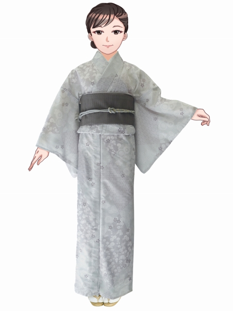 夏着物 絽 洗える付下げ ライトグレー 蘭 シルエット文 トールサイズ L 美品 洗える着物 絽 小紋 HL(アッシュ・エル) 夏用の着物 フリーサイズ